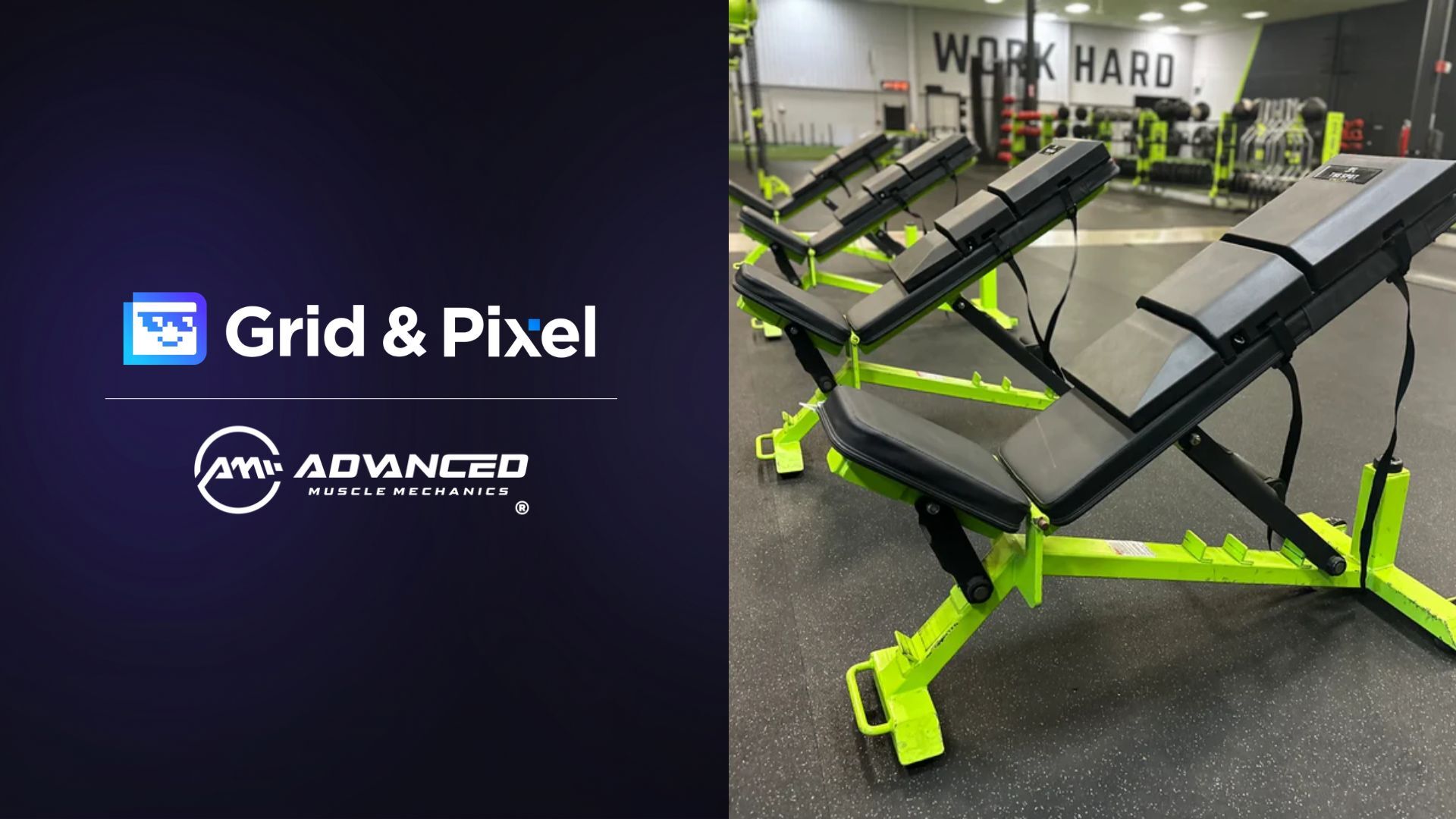 Advanced Muscle Mechanics